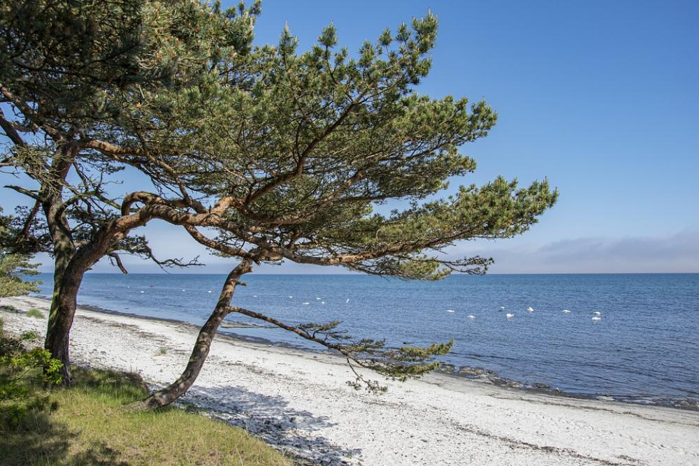 Beach Baltic Sea Coast Sand Vacations Water Beach Baltic Sea Coast Sand Vacations Water