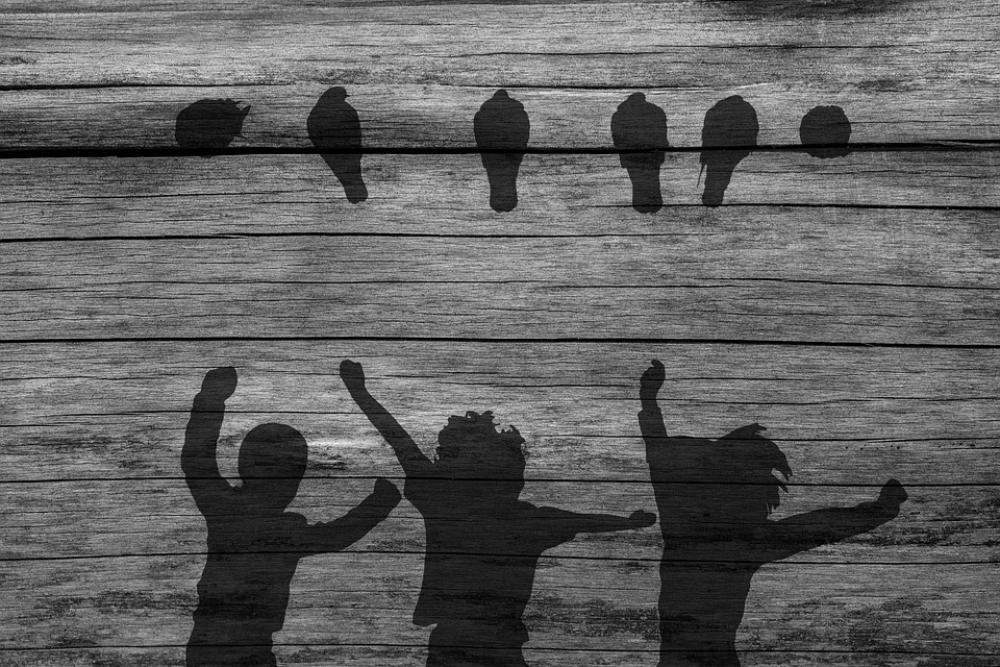 Birds Children Branch Pigeons Play Romp Hop Fun Birds Children Branch Pigeons Play Romp Hop Fun