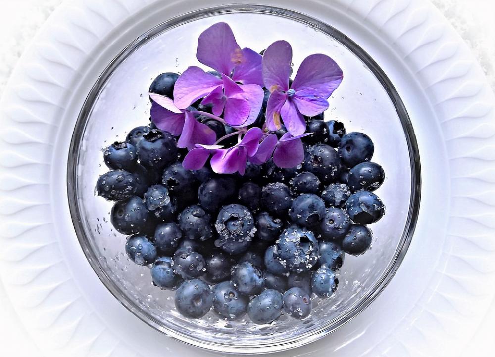 Blueberries Fruits Fruit Big Blue Berries Fresh Blueberries Fruits Fruit Big Blue Berries Fresh