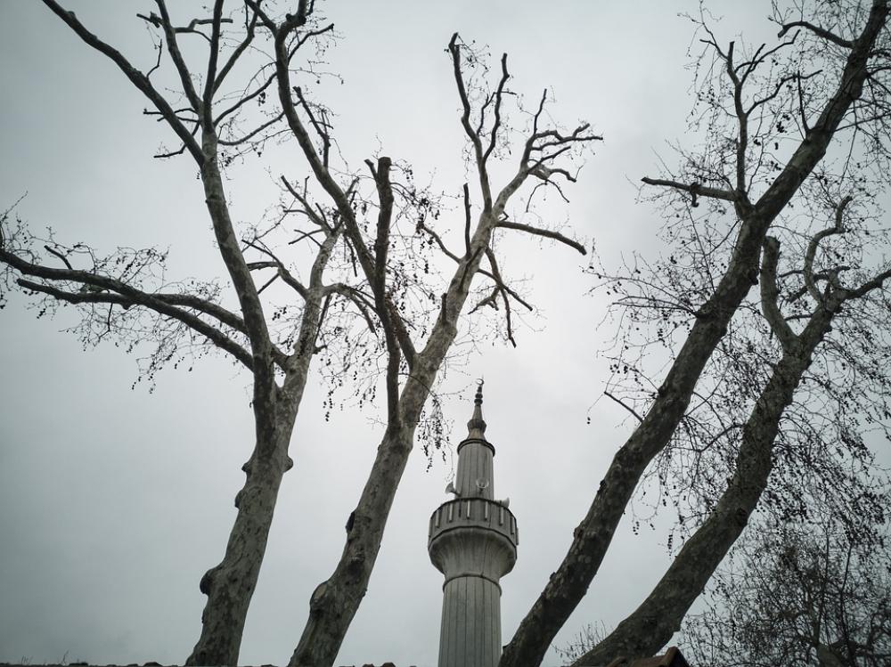 Cami Minaret Tree Landscape Architecture Muslim Cami Minaret Tree Landscape Architecture Muslim