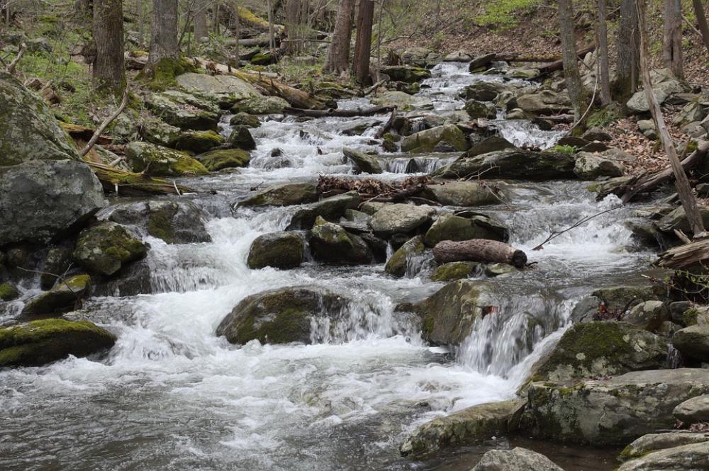 Cascade Stream Nationalpark Water River Creek Cascade Stream Nationalpark Water River Creek