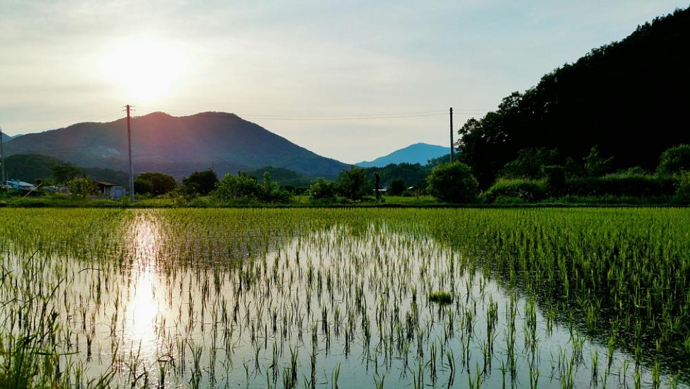 Earth Asia Korea Nature Landscape Sky Mountain Earth Asia Korea Nature Landscape Sky Mountain
