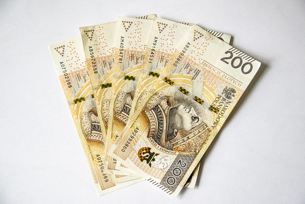 Euro Banknotes Polish Banknotes Money Currency Euro Banknotes Polish Banknotes Money Currency
