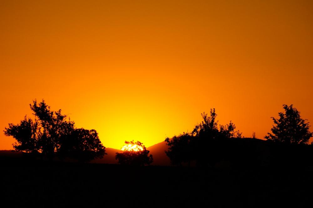 Evening Sky Orange Sun Setting Sun Trees Sunset Evening Sky Orange Sun Setting Sun Trees Sunset