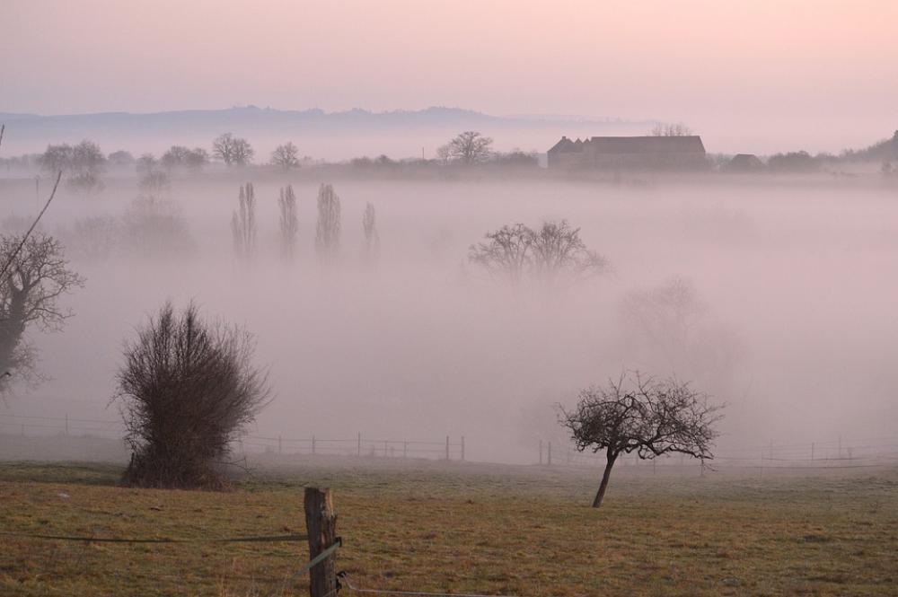 Fog Early Morning Sunrise Tree Silent Horizon Fog Early Morning Sunrise Tree Silent Horizon