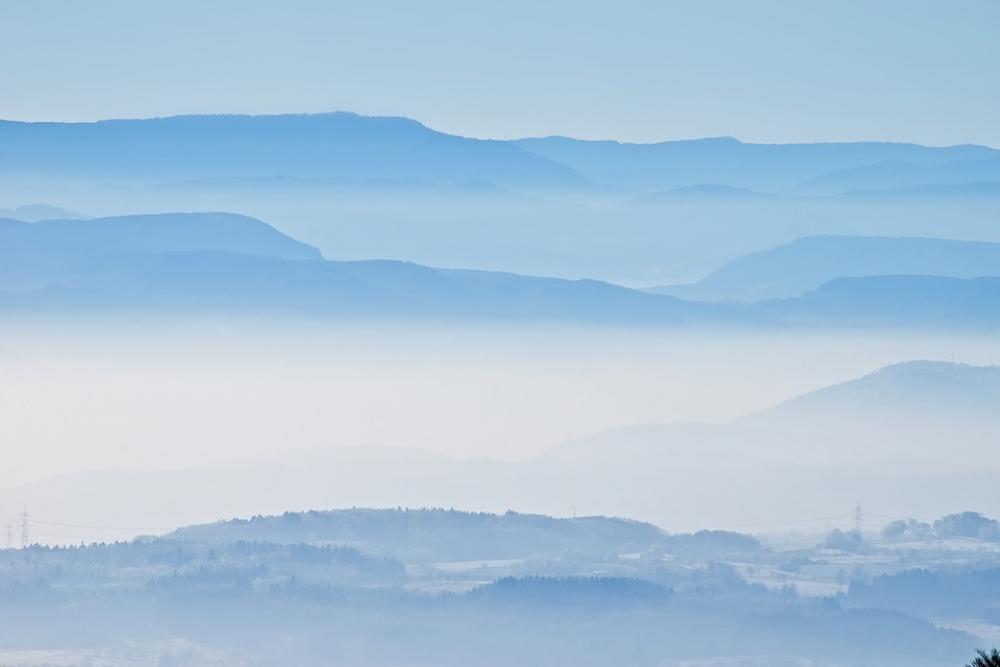Forest Landscape Fog Haze Nature Idyllic Blue Forest Landscape Fog Haze Nature Idyllic Blue