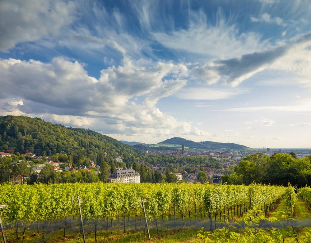 Freiburg City Germany Sky Clouds Historic Center Freiburg City Germany Sky Clouds Historic Center