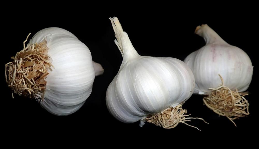 Garlic Vegetables Food Cooking Healthy Eating Garlic Vegetables Food Cooking Healthy Eating