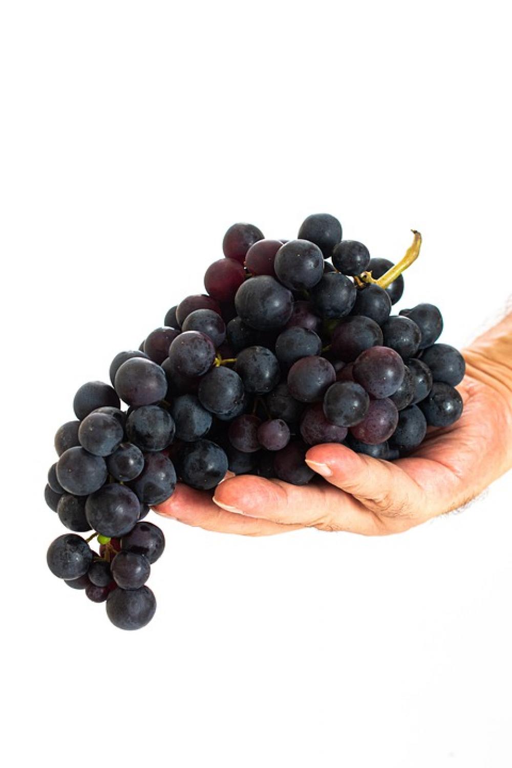 Grape Fruit Food Healthy Sweet Red Juicy Tasty Grape Fruit Food Healthy Sweet Red Juicy Tasty