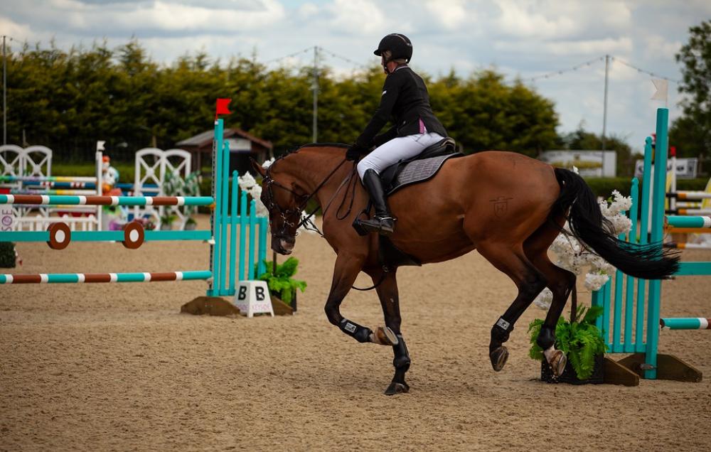 Horse Jumping Jumping Equestrian Horse Competition Horse Jumping Jumping Equestrian Horse Competition