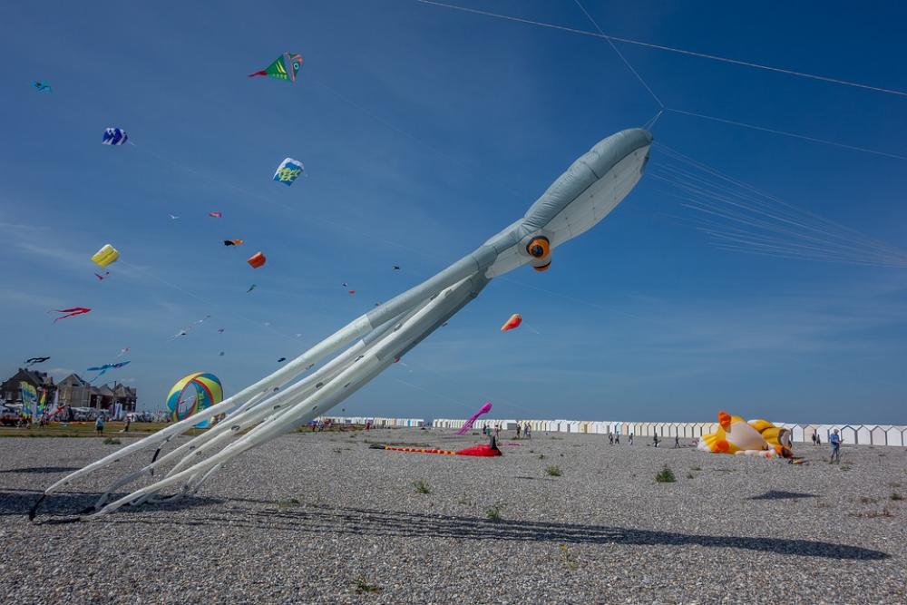 Kite Festival Beach Color Wind Sky Fly Kite Festival Beach Color Wind Sky Fly