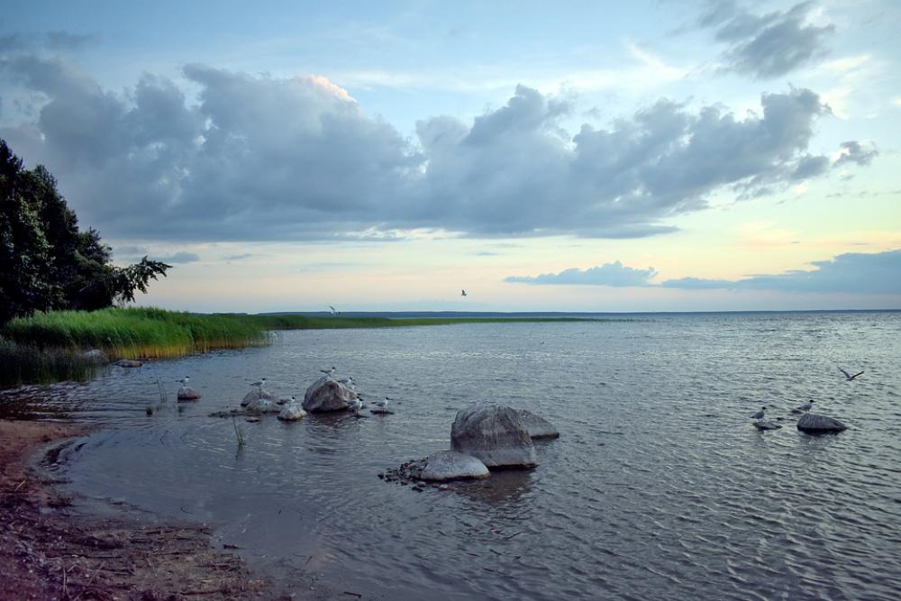 Lake Bad Weather Windy Clouds Sky Evening Weather Lake Bad Weather Windy Clouds Sky Evening Weather