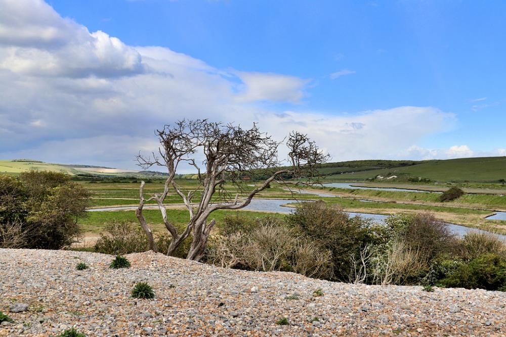 Landscape Coast England Bank United Kingdom Nature Landscape Coast England Bank United Kingdom Nature
