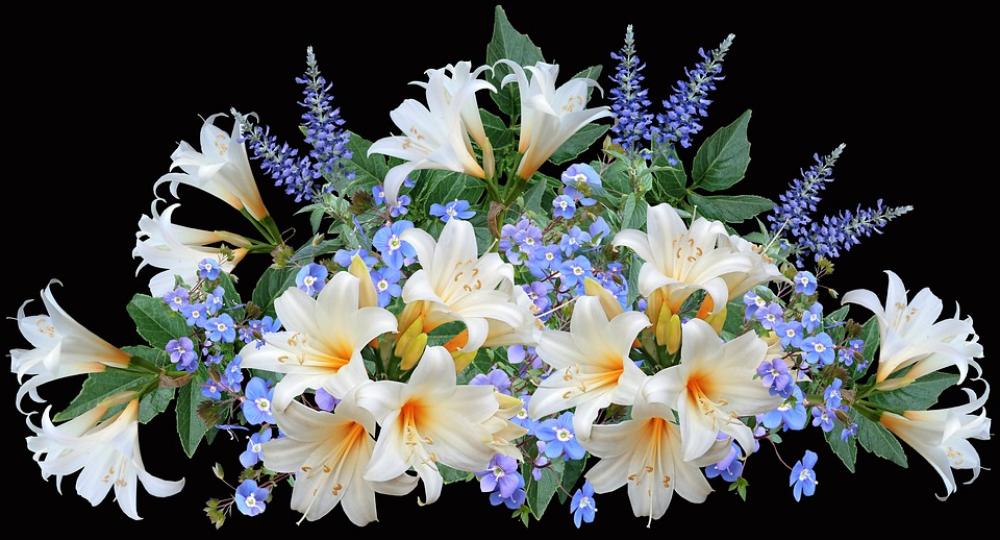 Lilies White Blue Flowers Arrangement Garden Lilies White Blue Flowers Arrangement Garden