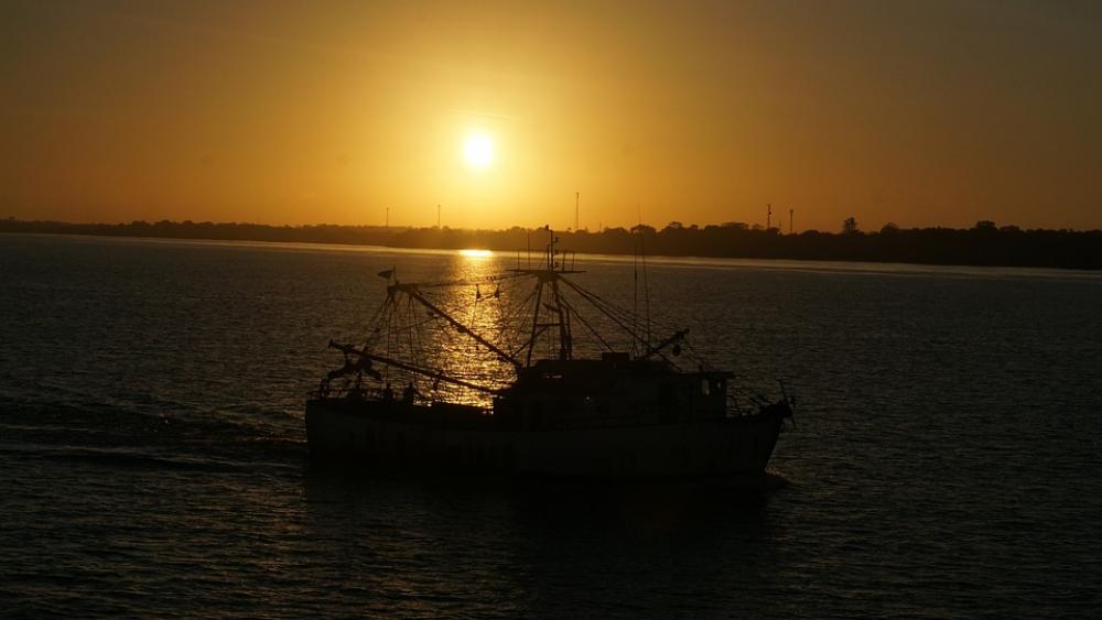Marajó Island Island Brazil Pará Sunrise Marajó Island Island Brazil Pará Sunrise