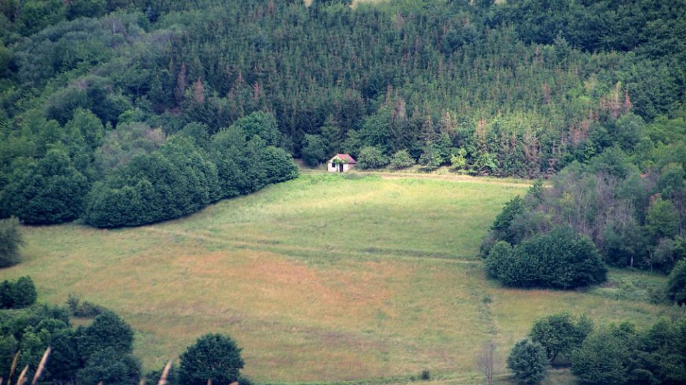 Meadow House Landscape Nature Trees Rural Meadow House Landscape Nature Trees Rural