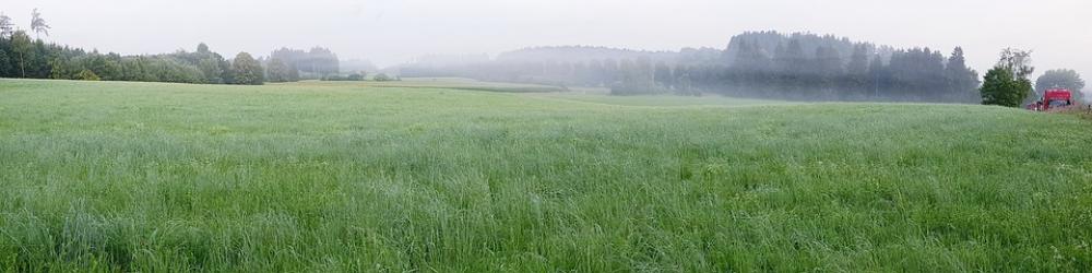 Meadow Forest Fog Landscape Morgenstimmung Truck Meadow Forest Fog Landscape Morgenstimmung Truck