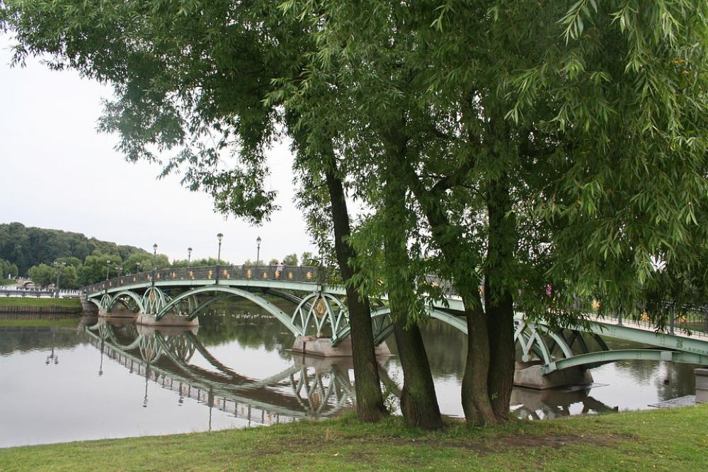 Moscow Tsaritsyno Willow Pond Moscow Tsaritsyno Willow Pond