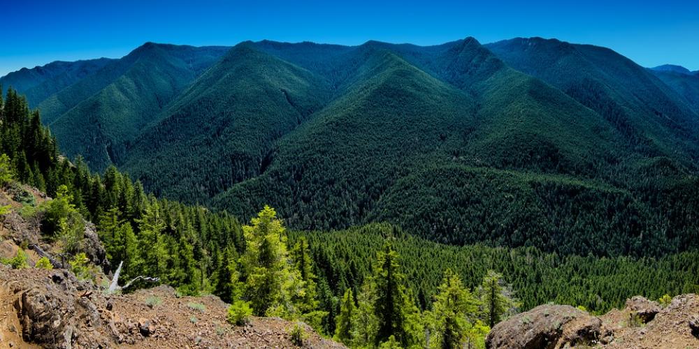 Mountains Trees Evergreen Nature Green Forest Mountains Trees Evergreen Nature Green Forest