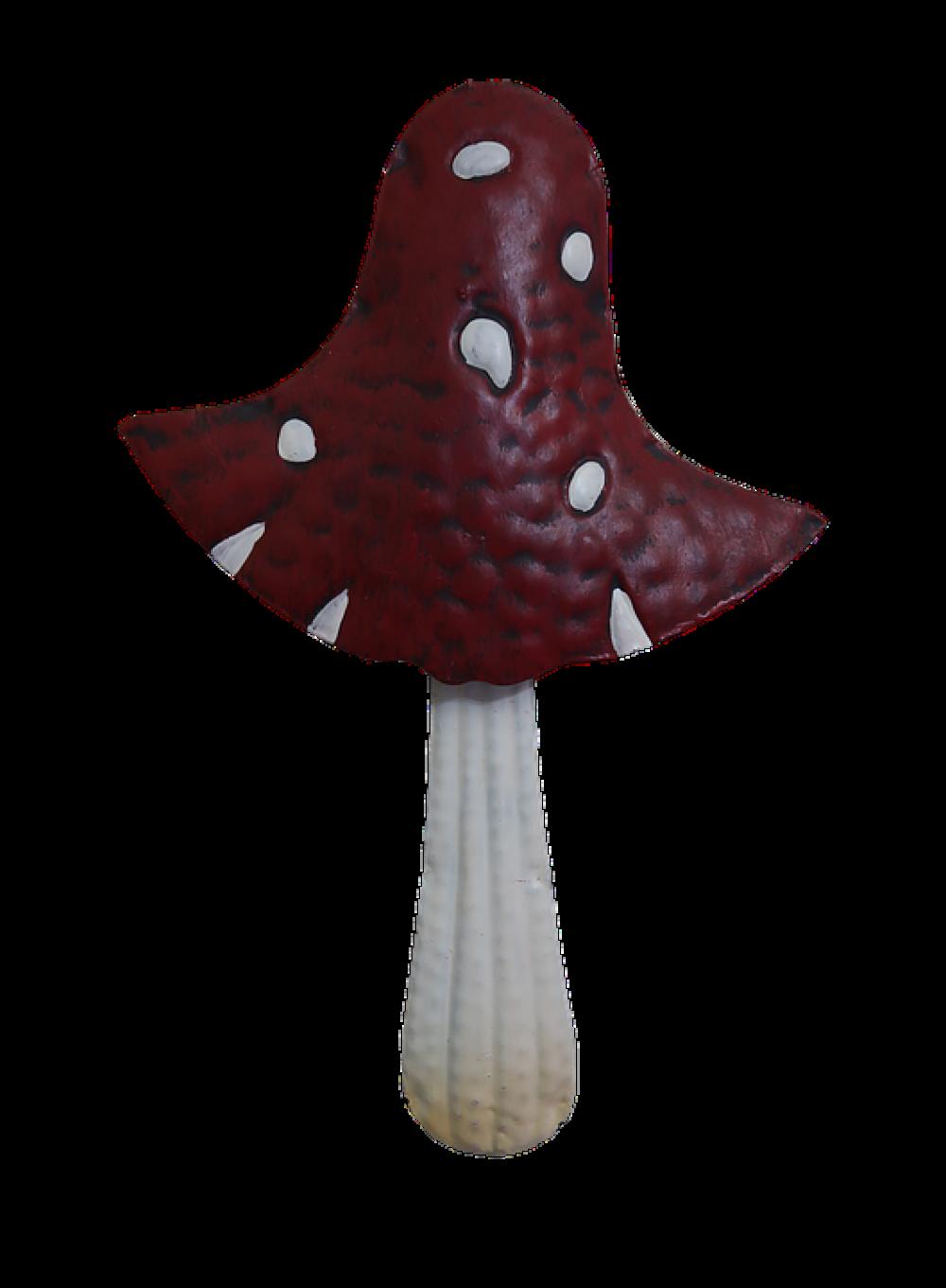 Mushroom Fly Agaric Forest Nature Autumn Fantasy Mushroom Fly Agaric Forest Nature Autumn Fantasy