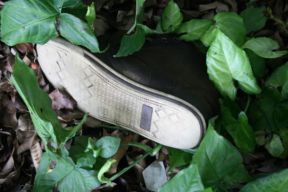 Natural Shoe Man Nature People Beauty Shoes Natural Shoe Man Nature People Beauty Shoes