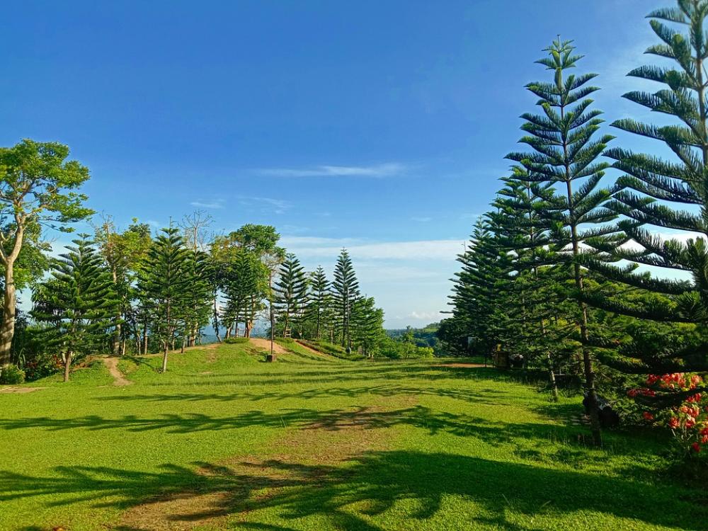 Nature Trees Sky Grass Landscape Nature Trees Sky Grass Landscape
