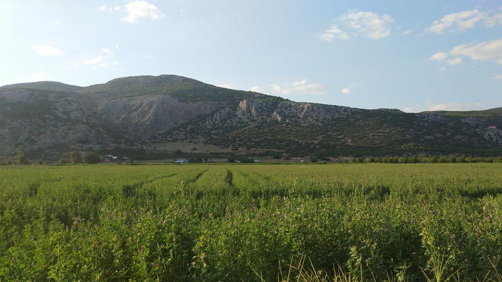 Nature Agriculture Rural Area Summer Sky Clouds Nature Agriculture Rural Area Summer Sky Clouds