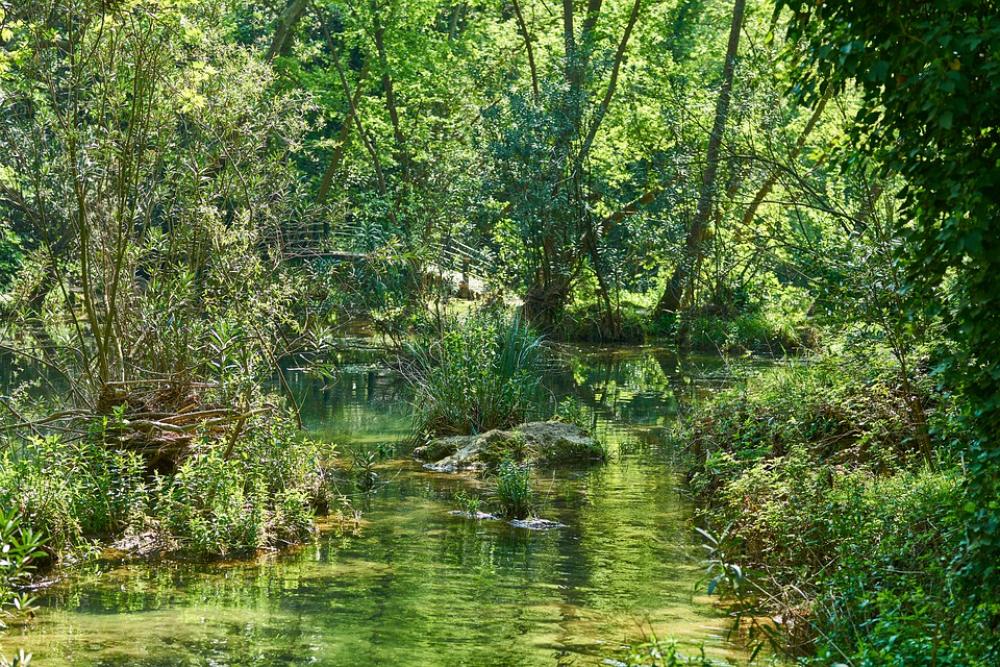 Paradise Green Forest River Waterfall Leaves Paradise Green Forest River Waterfall Leaves