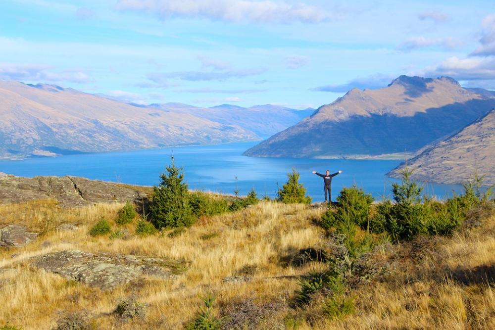 Queenstown Lake Mountains Cold Meadow Tree Queenstown Lake Mountains Cold Meadow Tree
