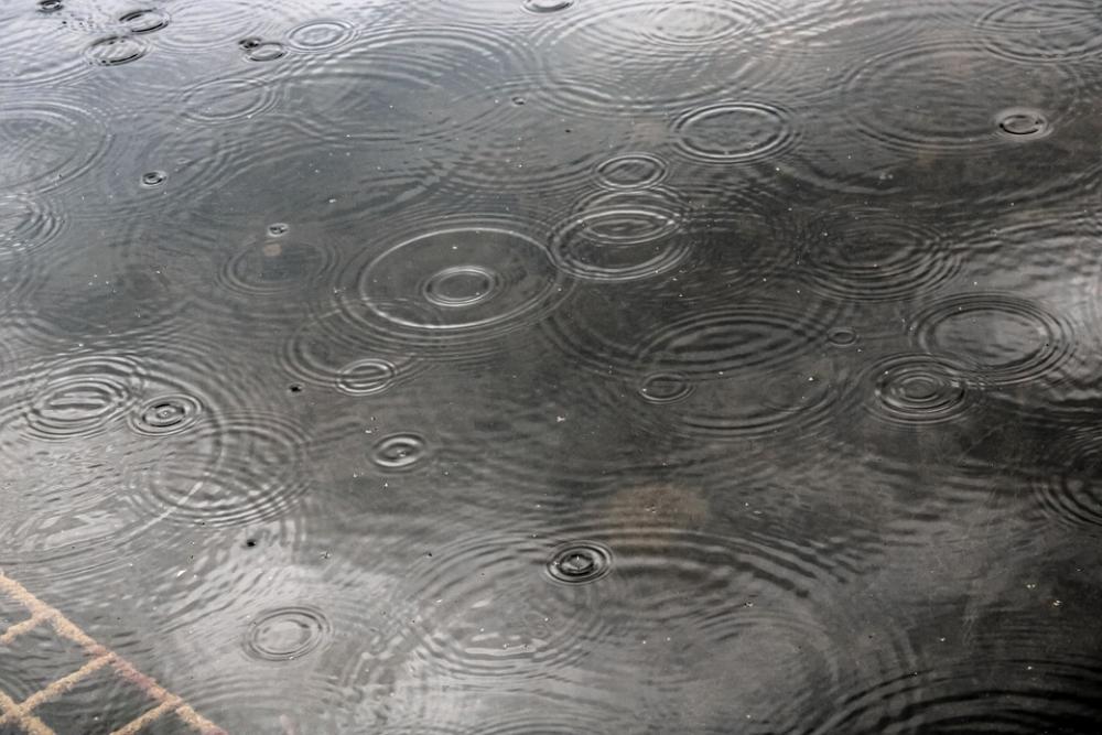 Raindrop Landscape Outdoor Rain Nature Green Raindrop Landscape Outdoor Rain Nature Green