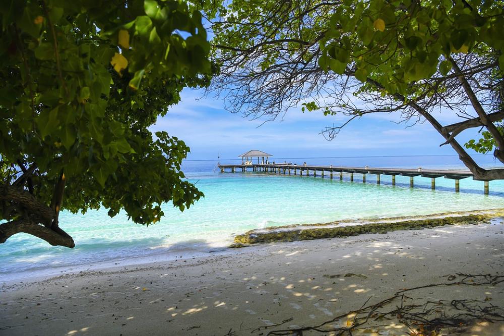 Sea Palm Trees Sand Bar Sun Summer Travel Sea Palm Trees Sand Bar Sun Summer Travel