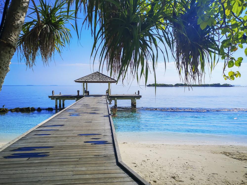 Sea Palm Trees Sand Bar Sun Summer Travel Sea Palm Trees Sand Bar Sun Summer Travel