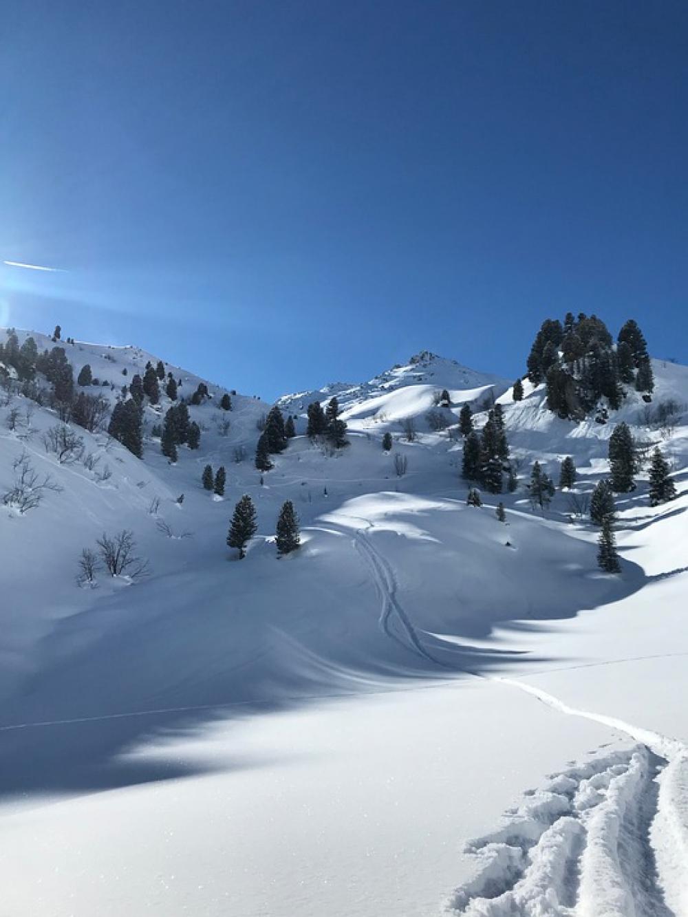 Snow Zillertal Winter Backcountry Skiiing Snow Zillertal Winter Backcountry Skiiing