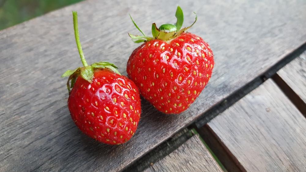 Strawberry Red Fresh Nature Green Tabel Couple Strawberry Red Fresh Nature Green Tabel Couple