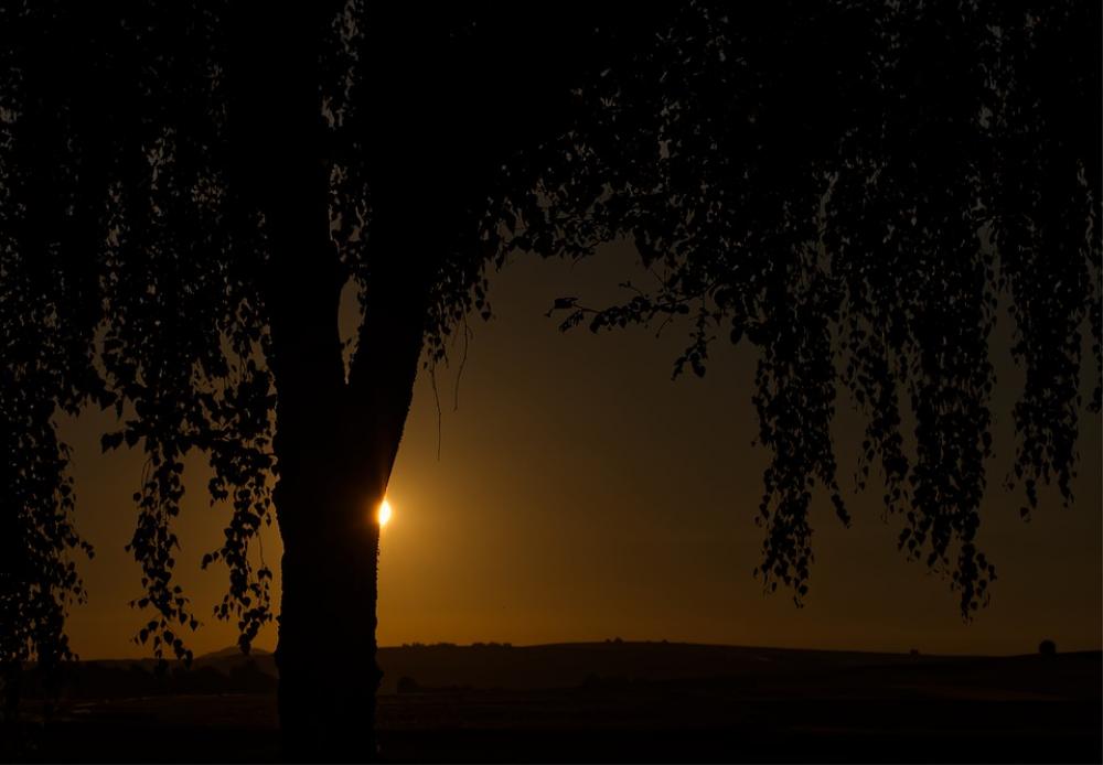 Sun Dark Tree Landscape Light Sky Nature Sunrise Sun Dark Tree Landscape Light Sky Nature Sunrise
