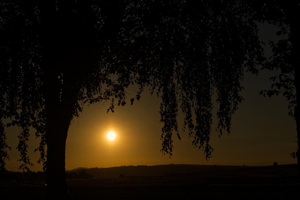 Sun Dark Tree Landscape Light Sky Nature Sunrise Sun Dark Tree Landscape Light Sky Nature Sunrise