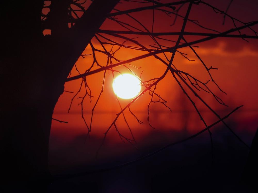 Sunset Sun Sky Landscape Nature Horizon Trees Sunset Sun Sky Landscape Nature Horizon Trees