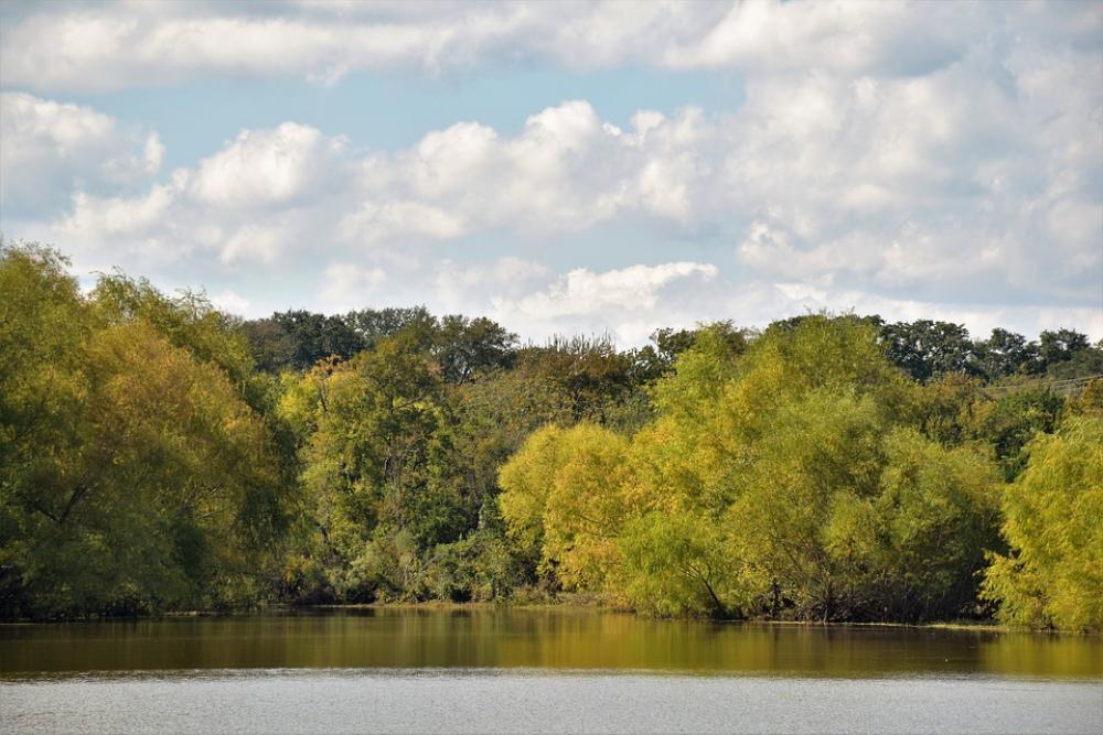 Waterscape Landscape Trees Water Nature Scenic Waterscape Landscape Trees Water Nature Scenic