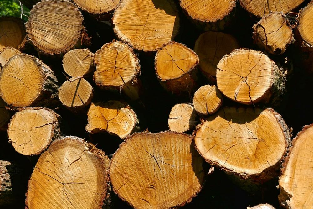 Wood Holzstapel Tree Trunks Stacked Timber Shadow Wood Holzstapel Tree Trunks Stacked Timber Shadow