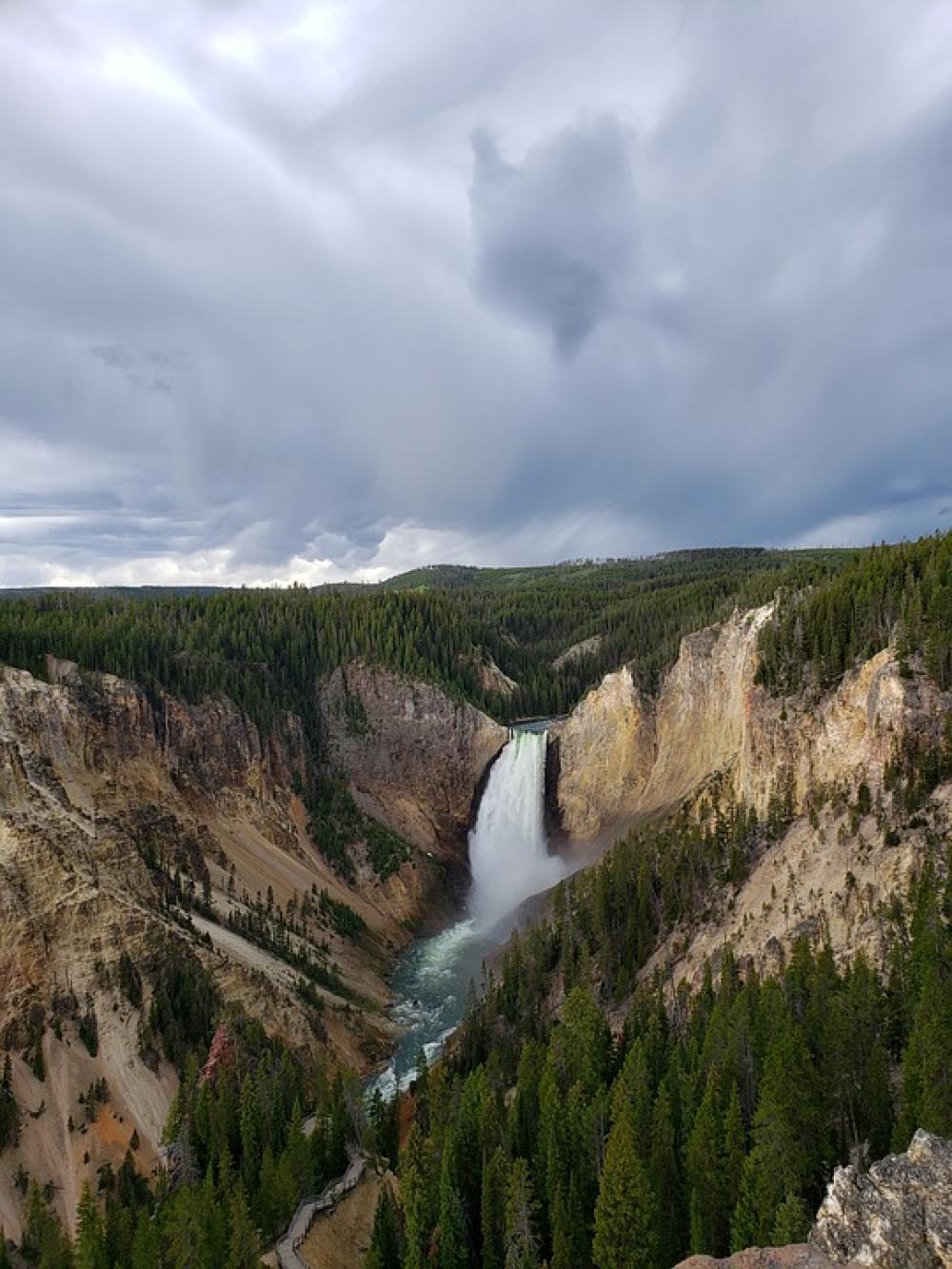 Yellowstone Falls Grand Canyon Trees River Yellowstone Falls Grand Canyon Trees River