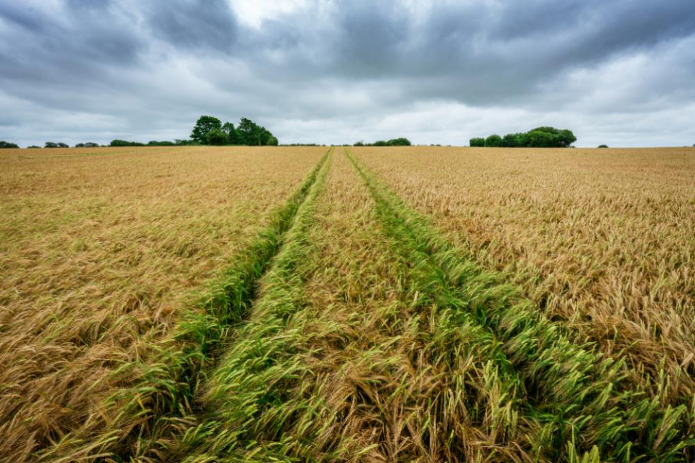 tractor field tracks landscape horizon tractor field tracks landscape horizon