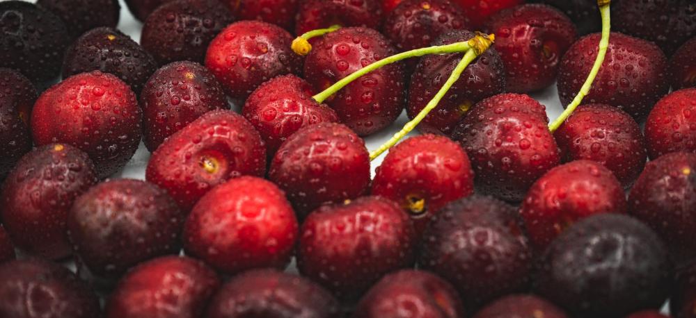 Freshly Washed Cherries Photo Freshly Washed Cherries Photo