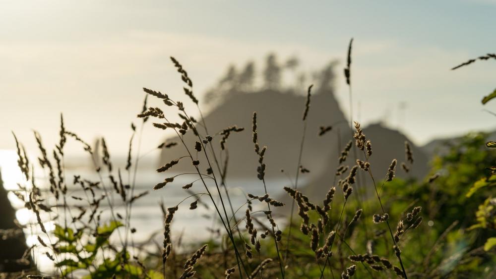 From The Grasses View Photo From The Grasses View Photo