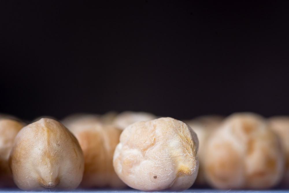 Chickpeas Chick Pea Peas Nikon Micro Macro Chickpeas Chick Pea Peas Nikon Micro Macro