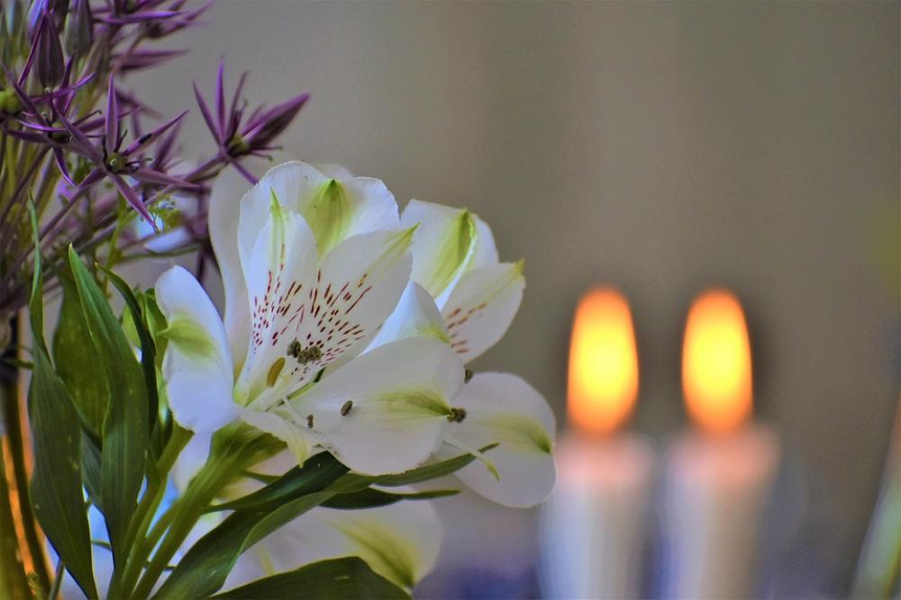 Flowers Table Setting Candles Celebration Flowers Table Setting Candles Celebration