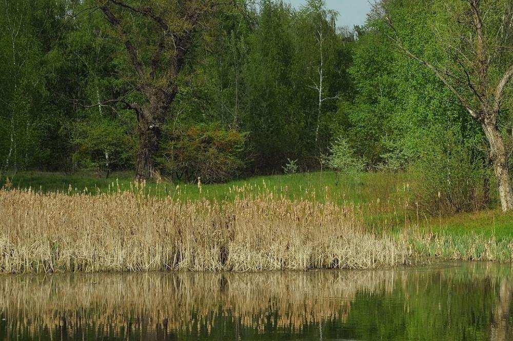 Spring Landscape Nature Lake Reflection Water Spring Landscape Nature Lake Reflection Water