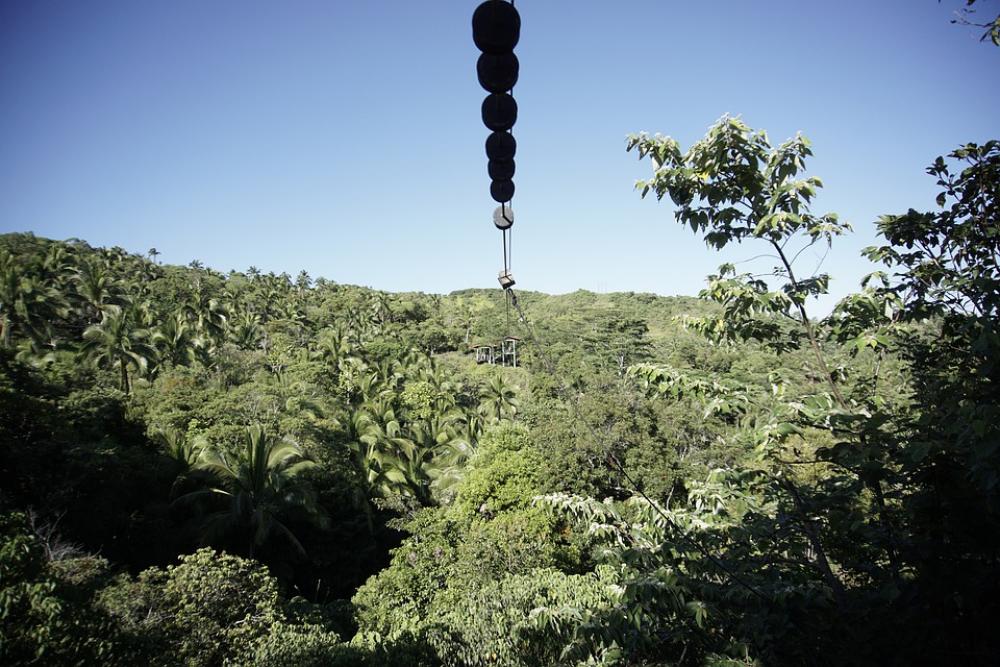 Zipline Heights Greens Trees Challenge Outdoors Zipline Heights Greens Trees Challenge Outdoors