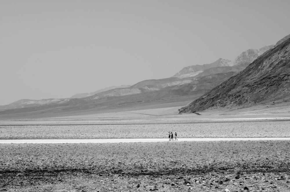 Black And White Desert Scene Photo Black And White Desert Scene Photo