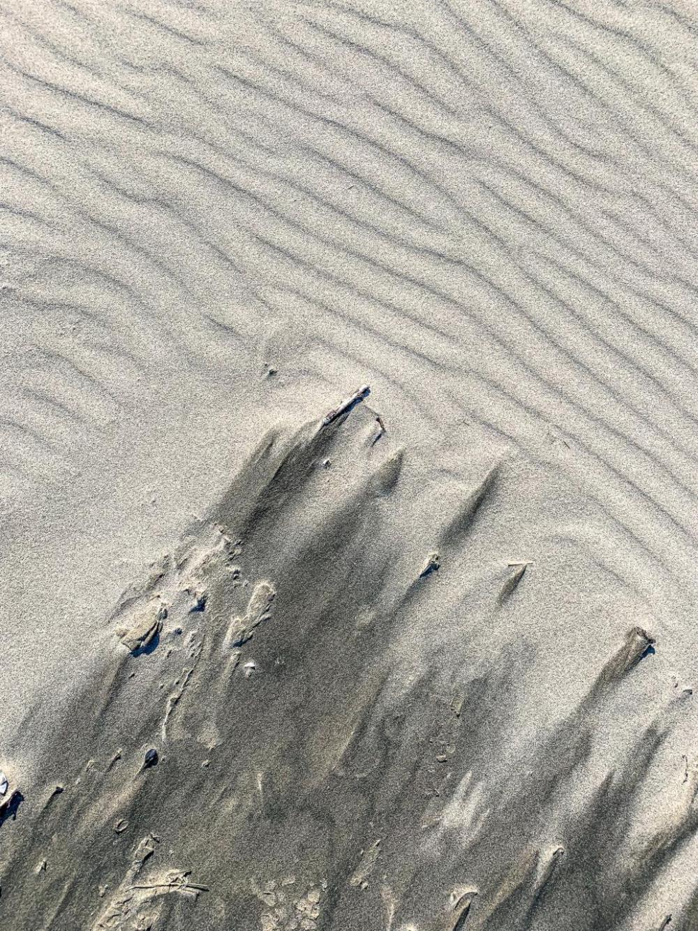 Meeting of light Sand ripples and dark mineral sand Meeting of light Sand ripples and dark mineral sand