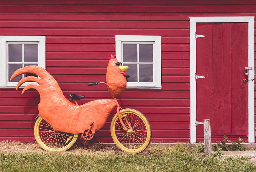 Funny Bike Free Photo Funny Bike Free Photo